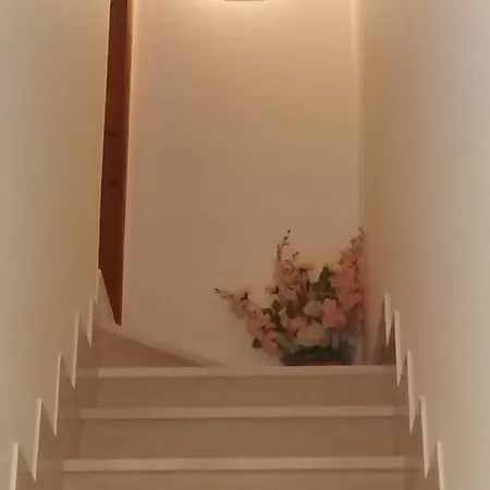 A Scopello Appartement Scopello (Sicily)